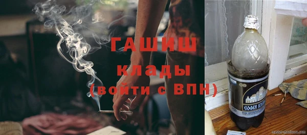 ПСИЛОЦИБИНОВЫЕ ГРИБЫ Горно-Алтайск