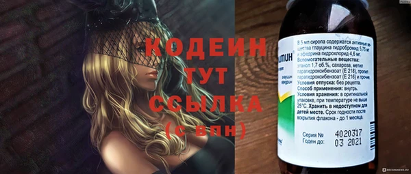 ПСИЛОЦИБИНОВЫЕ ГРИБЫ Горно-Алтайск