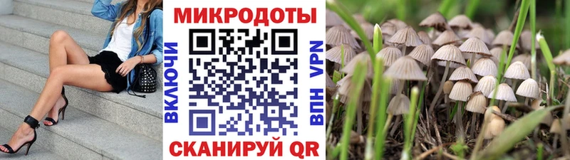 Галлюциногенные грибы мицелий Дно