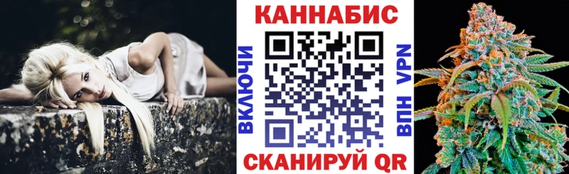 Бошки марихуана MAZAR  Дно 